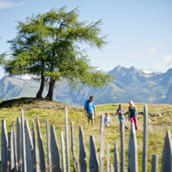 Wandern auf der Fane Alm